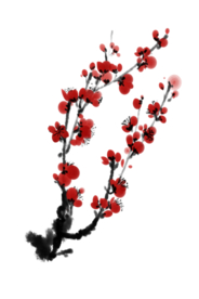 梅花树枝元素
