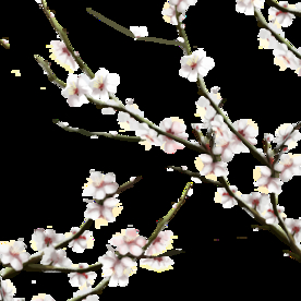 梅花树枝元素