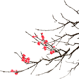 梅花树枝元素
