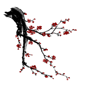 梅花素材