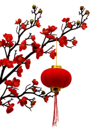 梅花素材