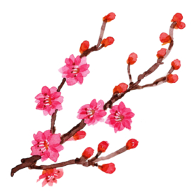梅花素材
