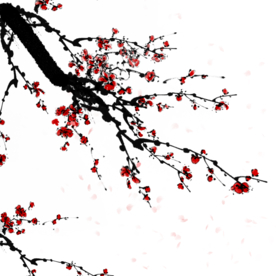 梅花素材