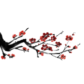 梅花素材