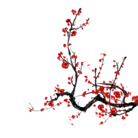 梅花素材