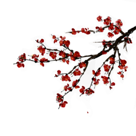 梅花树枝元素