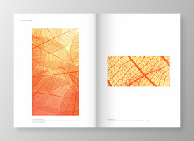 橘色简洁画册