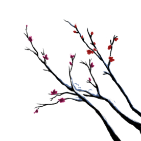 梅花素材