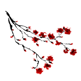 梅花素材