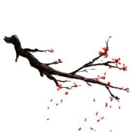 梅花素材