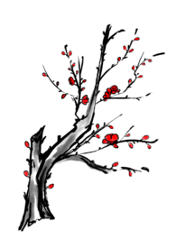 梅花素材