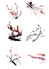 梅花素材