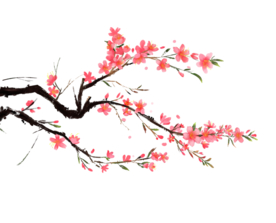 梅花素材