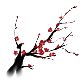 梅花素材
