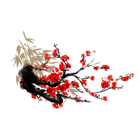 梅花素材