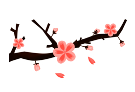 梅花素材