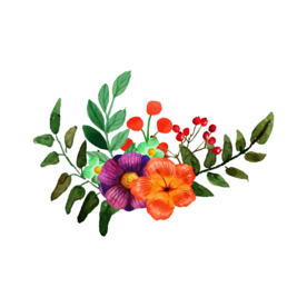花卉素材