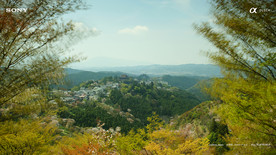 世界各地风景图片