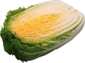 白菜