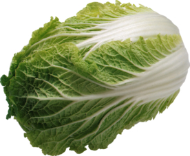 白菜