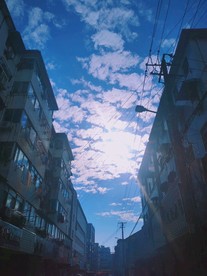 清晨的一道光