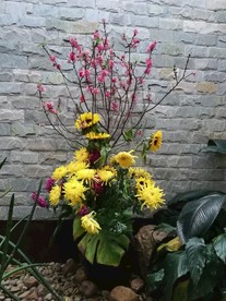 菊花插花