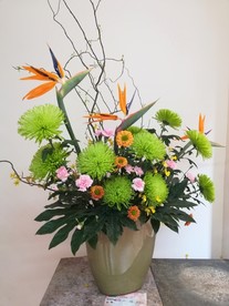 绿色菊花插花