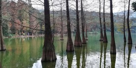 湖泊风光