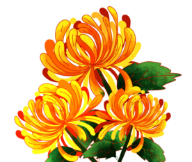 重阳节素材