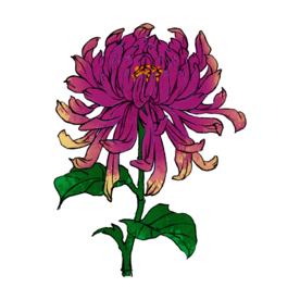 重阳节素材