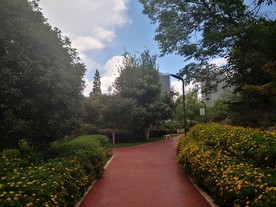 小区绿化景观跑道