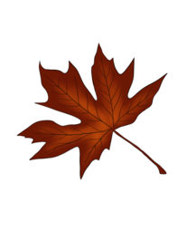 树叶 卡通 手绘