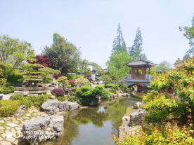 上海植物园