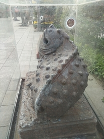 蛤蟆