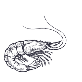 餐饮食物插画元素