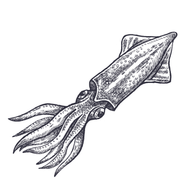 餐饮食物插画元素