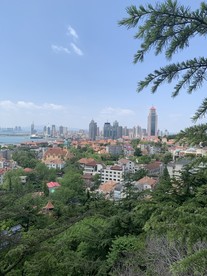 青岛美景 绿树红瓦