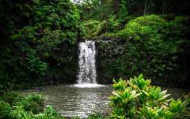 山谷河流瀑布草地风景