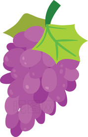 葡萄
