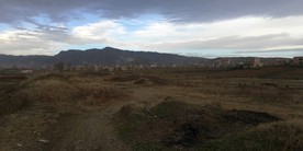 收割后的田野风景