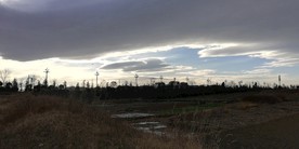 田野风景