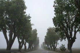 道路公路树木自然背景素材