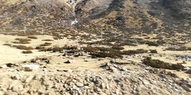 荒山野草