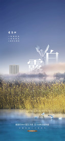 白露
