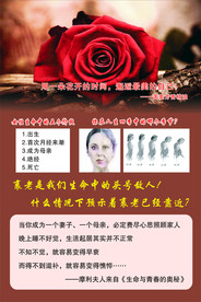 美容养颜护肤精油
