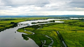 渤海镇莲花火山岩石板水稻田