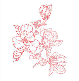 白描花卉线稿分层