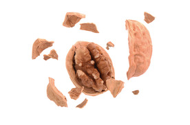 核桃 炸开的核桃 核桃仁