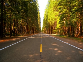 道路风景