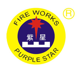 紫星LOGO